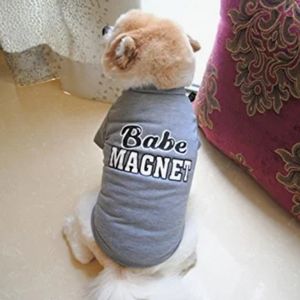 Dog Babe Magnet Top